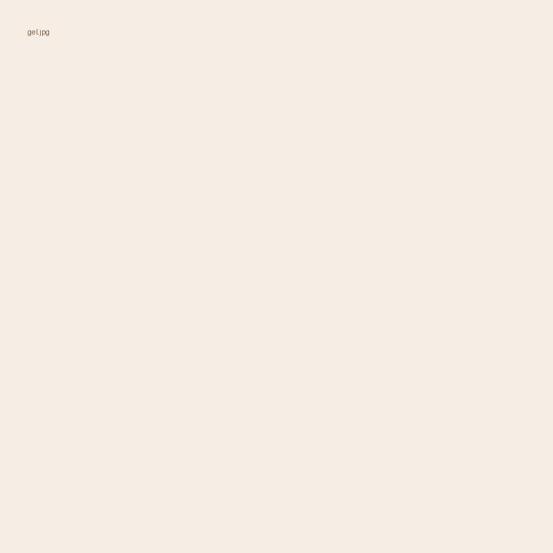 ジェルネイル - PALeclat 厚木市